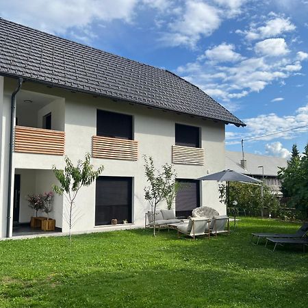 Aura Apartments Zirovnica Buitenkant foto
